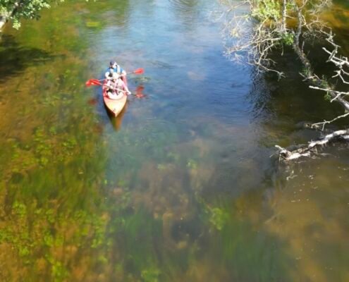 baidariu plaukimas zeimena